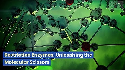 Restriction Enzymes: Unleashing the Molecular Scissors