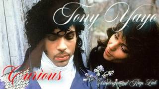 Curious - Tony Yayo/Beat prod. by Doz Beats/Underground Rap Lab