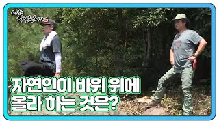 OO이 막혀 운동을 주기적으로 하는 게 좋다는 자연인... 바위 위에 올라 하는 것은 MBN 220817 방송