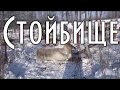 🦌 ЭВЕНКИЙСКОЕ СТОЙБИЩЕ, Оленеводы, Зима, -47C, Олени и собаки 🐕