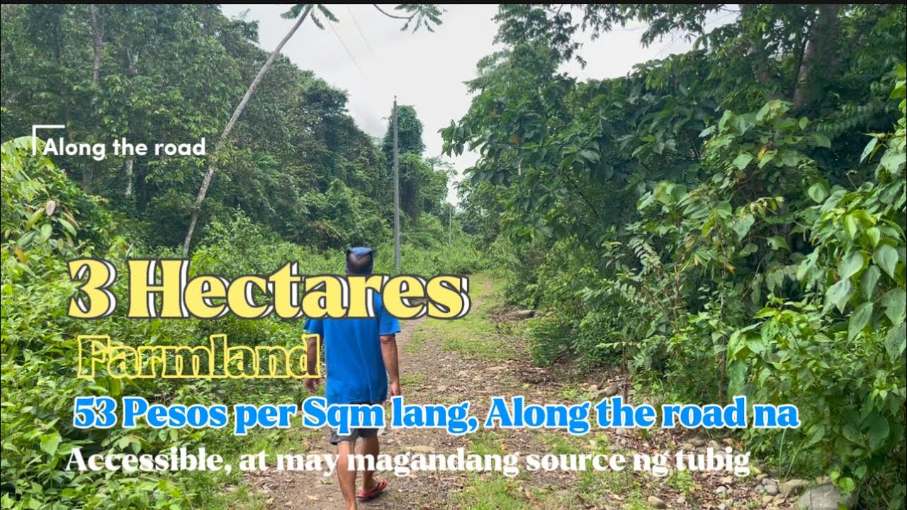 Sold na✅Lot#85 | Murang Farmland nito, 43 pesos per sqm lang / 3 hectares Lot size. 1.3M lang