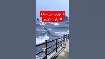 القران الكريم سوره الشعراء بصوت الشيخ ياسر الدوسري #القرآن_الكريم #اكسبلور #duet #دويتو #راحة_نفسية