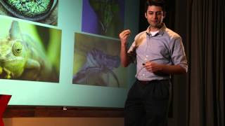 Robotic in nature | Dr. Jayant Ratti | TEDxEmory