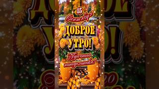 Доброе утро понедельника, мои хорошие!♥️🍁🍂☕️#сдобрымутромдрузья #открытка #популярное #рекомендации
