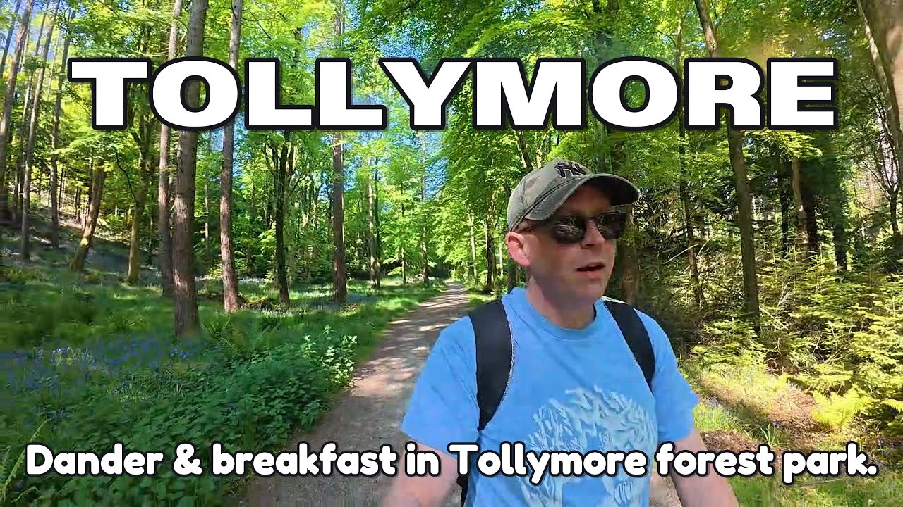 Dog walk & breakfast in the beautiful Tollymore forest park, Co.Down, Northern Ireland.