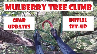 Climbing Gear updates and Initial Set-up_Mulberry Recreational Tree Climb