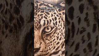 Realistic animal eyes tutorial #shorts screenshot 4