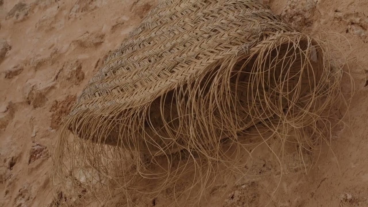 Campos | Mallorca | Signature Collection