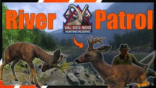 BEST Spot To Hunt Roe Deer on Val-de Bois | theHunter Classic