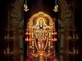 🌟 Sri Venkateswara Swamy | Tirupati Balaji Powerful Darshan | వెంకటేశ్వర స్వామి దర్శనం | Devotional