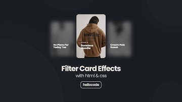 Filter Card Effect With HTML CSS Tutorial