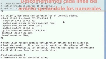 Video Tutorial DHCP Bajo Sistema Operativo Debian Parte2