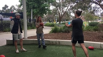 EXSC 229 ASSIGNMENT 1- AFL