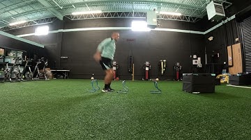 Hurdle Jumps to Box Jump