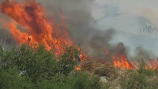 Evacuations orders lifted after second brush fire near Lakeside burns 50+ acres | NBC 7 San Diego