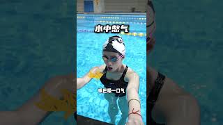 小白要學游泳，先從這五步開始
