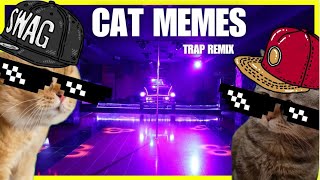 CAT MEMES - TRAP REMIX