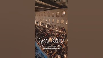 أنزل السكينة 🇵🇸❤️ سورة الفتح _ ٤ | Send down tranquility 🇵🇸❤️ Surat Al-Fath _ 4
