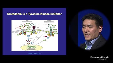 Epithelial-Fibroblast Interactions in Lung Fibrosis | Kevin Kim, MD