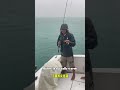 Fishing during cold or hot weather #fishingtips #bottomfishing #fishingcharter
