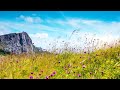 10 Hours of Relaxing Music - Sleep Music, Piano Music for Stress Relief, Sleeping Music (Peter)