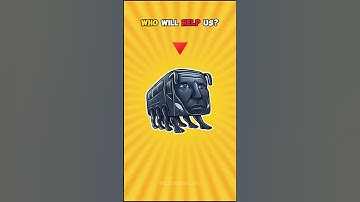 FIND BRAINROT THINGS 🔍 BRAINROT DAILY QUIZ 💯 #brainrot #brainrotquiz #brainrotmemes #italianbrainrot