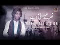 Naray Ali A S De Husnain Abbas Saqi New Qasida 2020