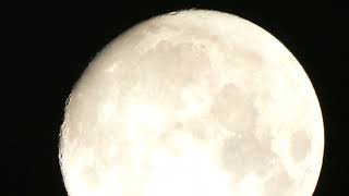 MOON NIGHT OF THE QUEENS DEATH 8-9-22
