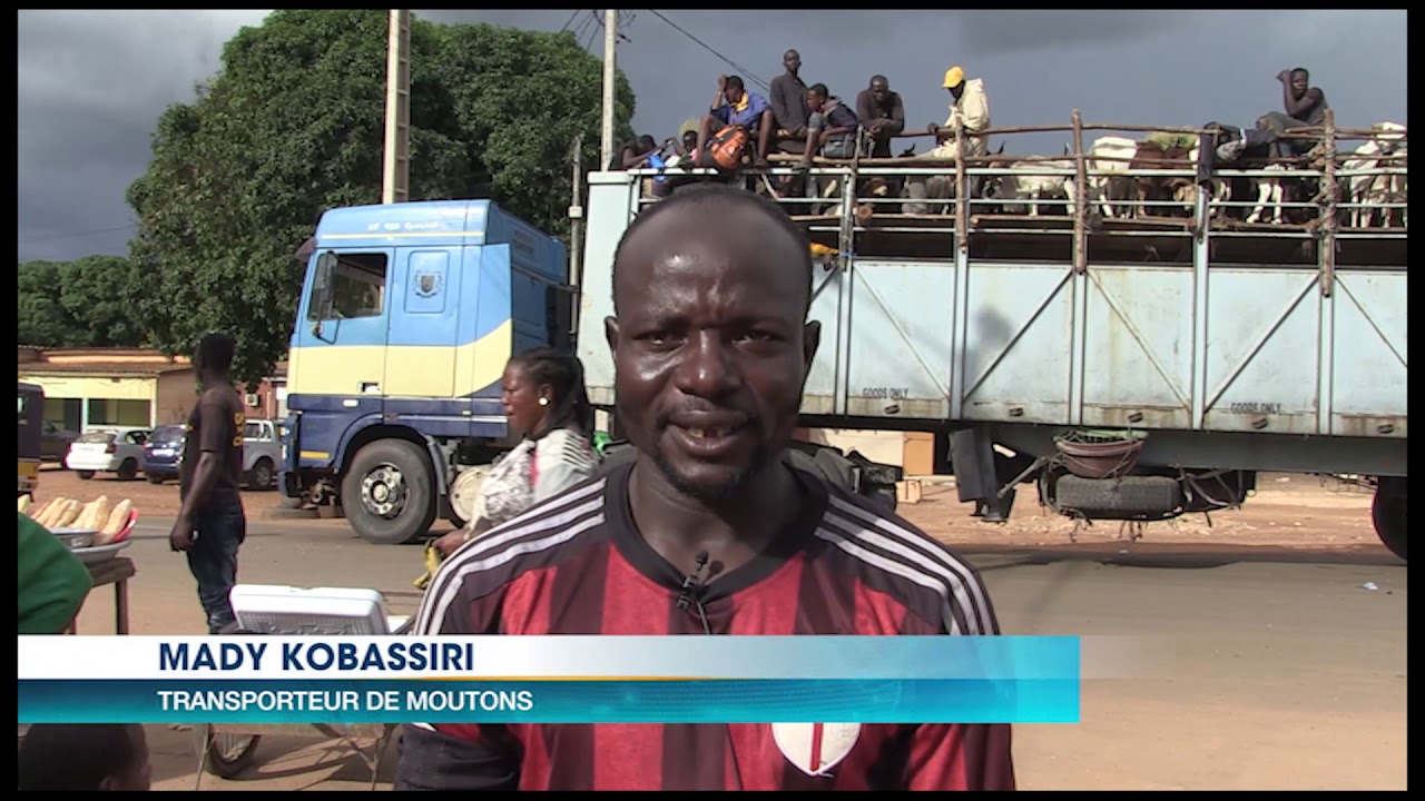 jt 20h du 21 aout filiere betail apres la tabaski des centaines de moutons retournent au burkina fas