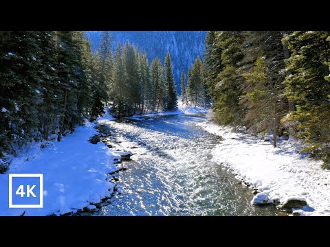 4K Winter River Sunrise Relaxing Winter Nature Scene Forest River Nature Sounds White Noise 