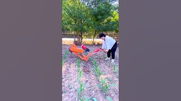Elderly micro-tillage machine # Gasoline weeding trenching machine # Trenching artifact