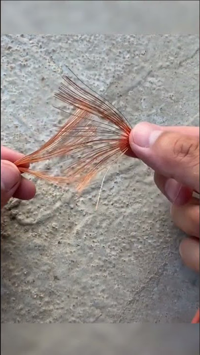 Do you know the correct method of stranded wire?