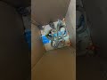 Indian Cobra Snake Rescue #highlightseveryone #animalrescue #cobra #shorts