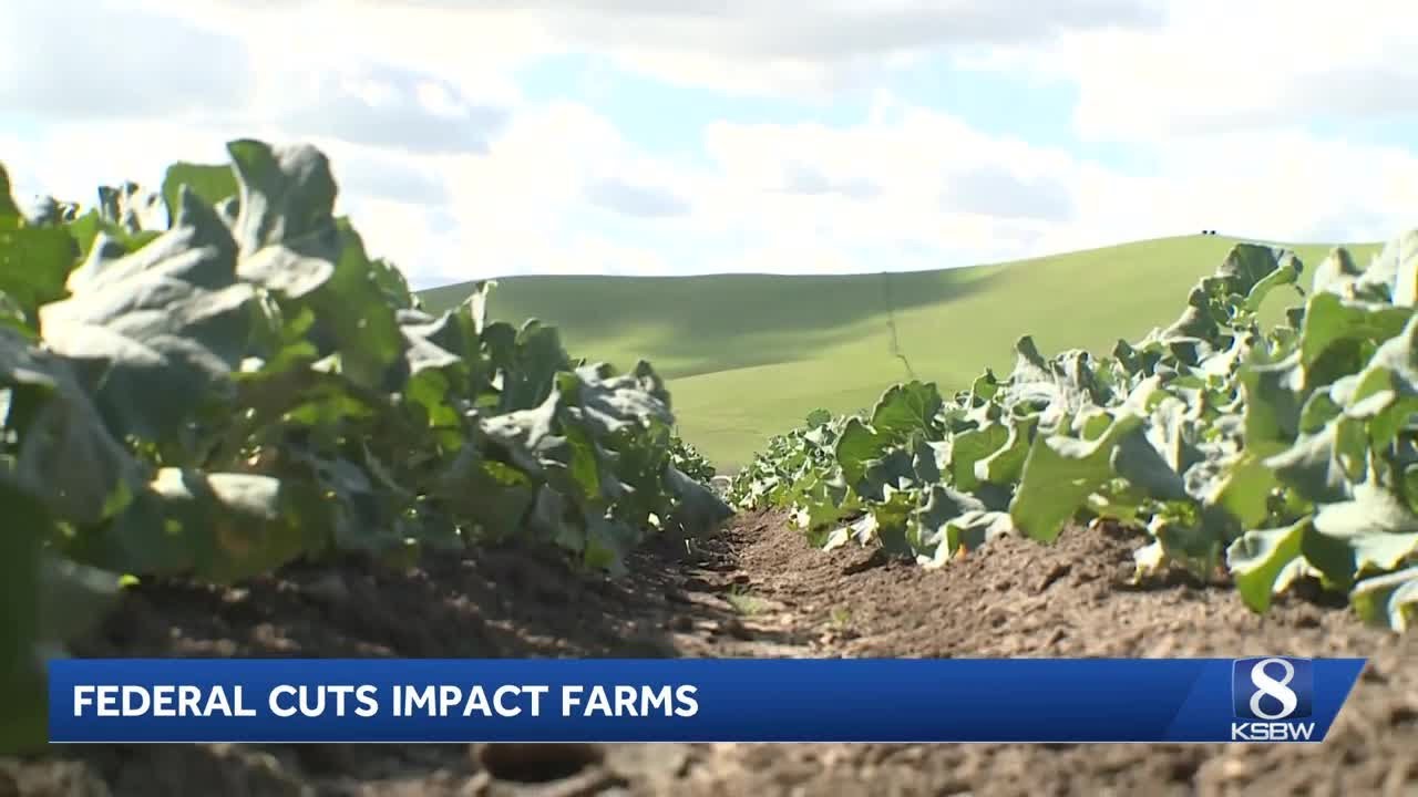 Federal cuts impact food assistance programs and farmers on the Central Coast