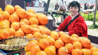 Fair: 200kg big oranges  1.5yuan/kg  huge sale  great biz & cust. exp! [Oat line tour]