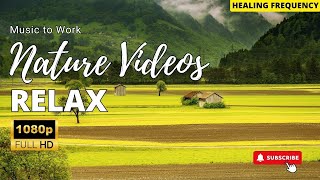Nature Relaxation Film | Study Relaxing Music | Nature Sounds of Jungle
