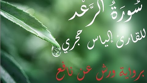 إلياس حجري ـ ilyas hajri | سورة الرعد تلاوة خاشعة
