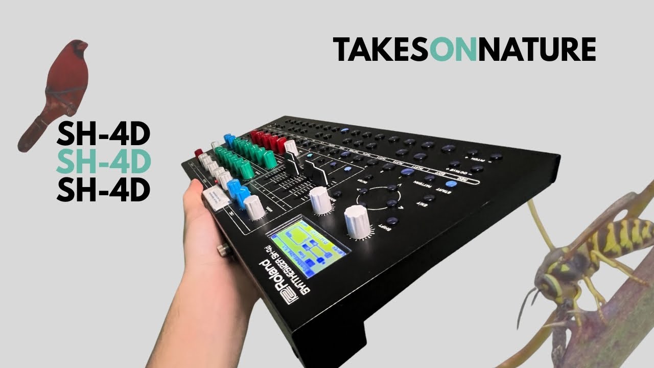 Roland SH-4D Experimental Synthesizer Jam at Golden Hour