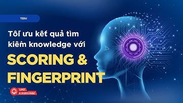 Phần 3: Tối ưu kết quả trả về từ VectorDB với Scoring và Fingerprint | Xây dựng RAG AI