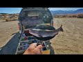 Catch and Cook and Camp Wild Trout Out of my Truck (Freezing Solo Overnight)