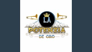 Video thumbnail of "La Potenzia de Oro - Mi Lindo Mixtepec"