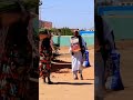 ربيع طه في موقف كوميدي عفوي مع مرة في الشارع