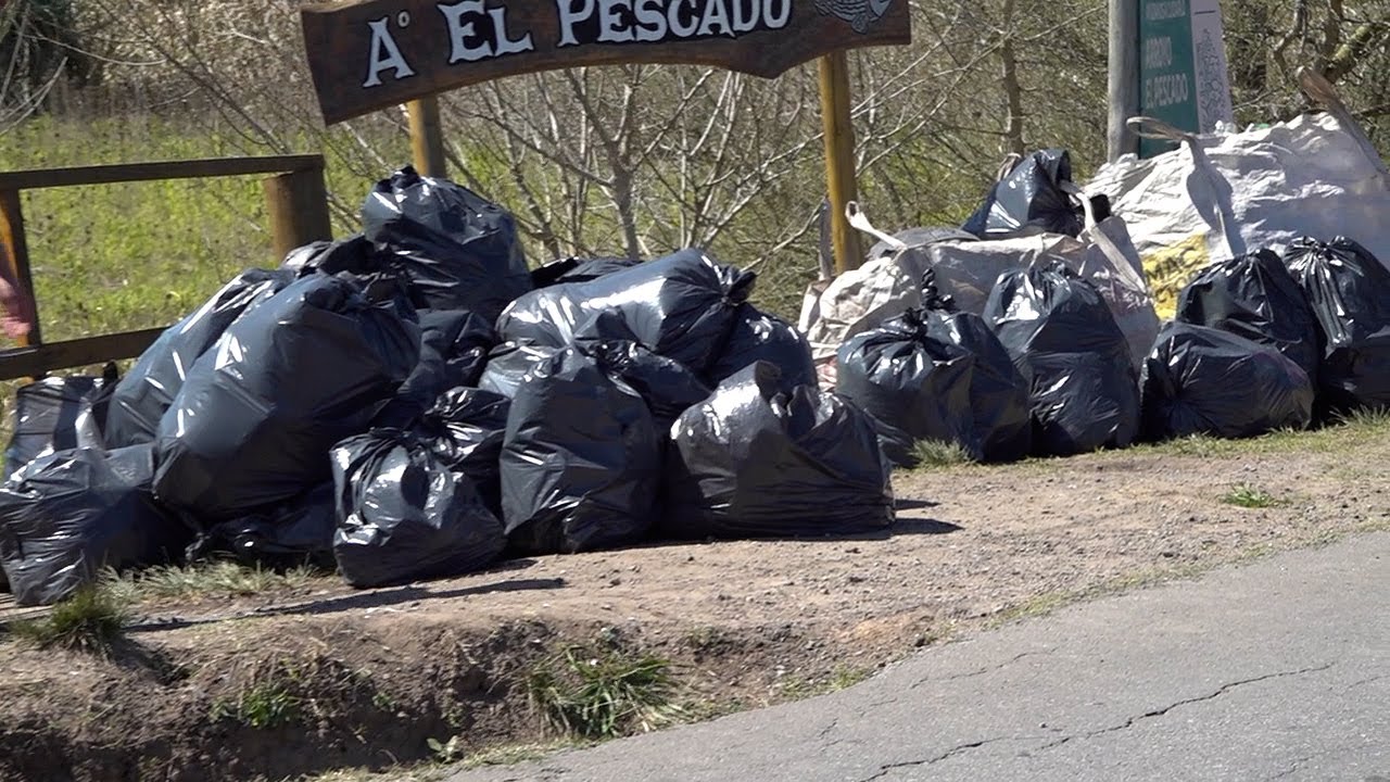 A la espera de los resultados por peces muertos, vecinos limpiaron el arroyo