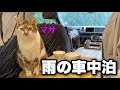 【猫と車中泊】雨音と猫のゴロゴロ音を聞きながら過ごす静かな夜|居酒屋マサで温かい鍋と日本酒