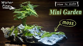 How to make a Mini garden with Moss - Water pine [  miniature landscape / diorama / Terrarium ]