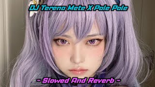 DJ Terena Mete X Pale Pale - Slowed And Reverb 🎶