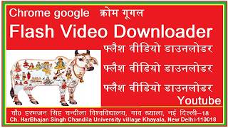 Flash Video Downloader   फ्लैश वीडियो डाउनलोडर screenshot 2