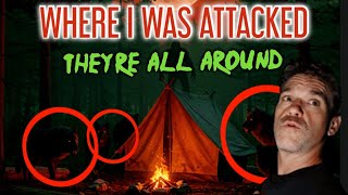 MOST TERRIFYING NIGHT WINTER CAMPING WITH PREDATORS (BIGFOOTS HERE)