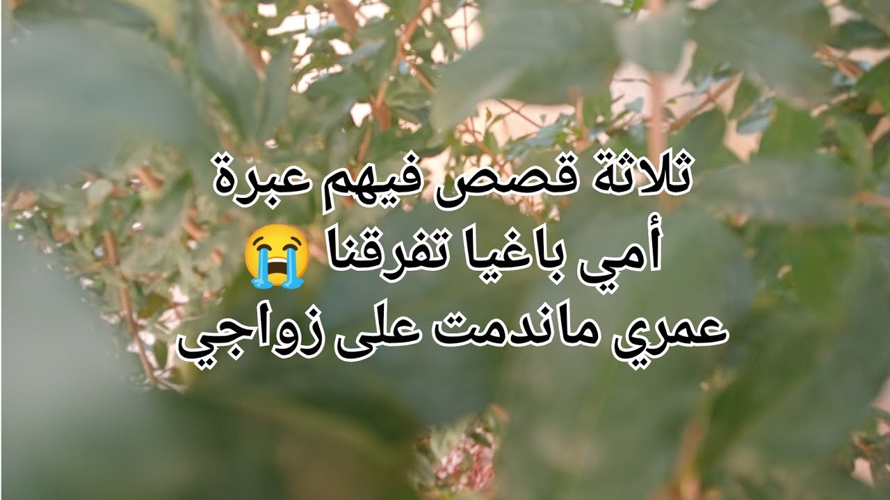 أمي باغيا تفرقنا 😭عمري ماندمت على زواجي 🥰غلطت وحملت في الحرام والنهاية كانت صادمة 😭