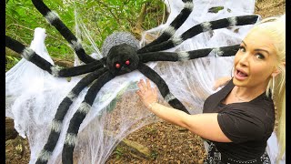 Spider Chased Our Family!! Scary Movie In Real Life